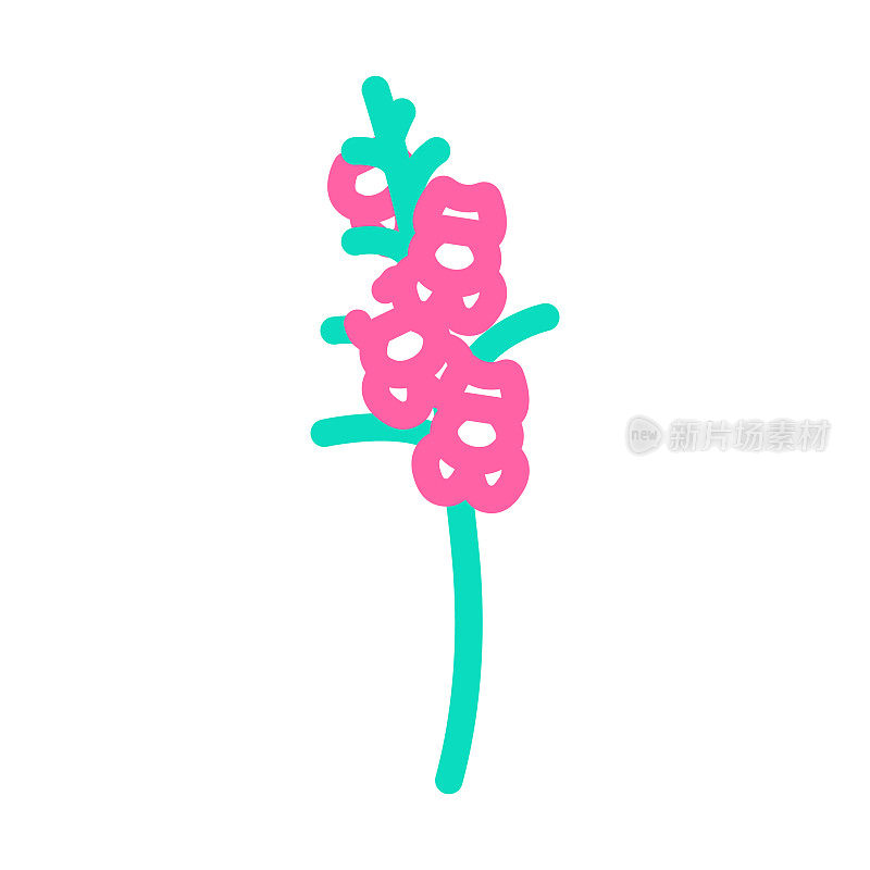 Snapdragon blossom spring彩色图标矢量插图